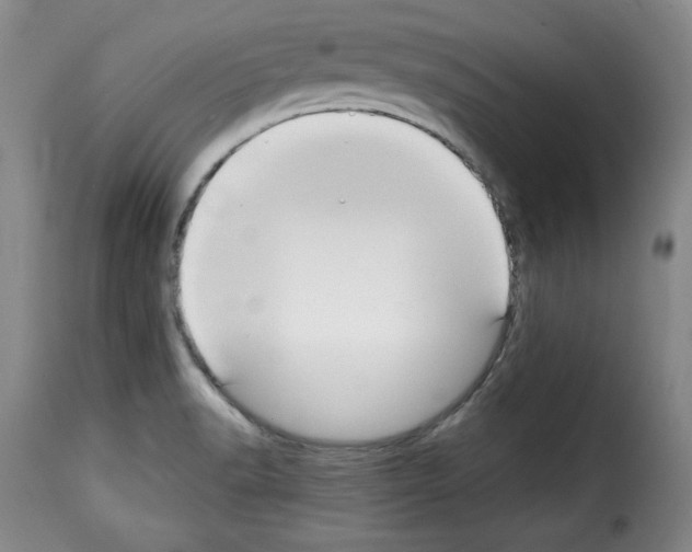 X0000114191518200911200924