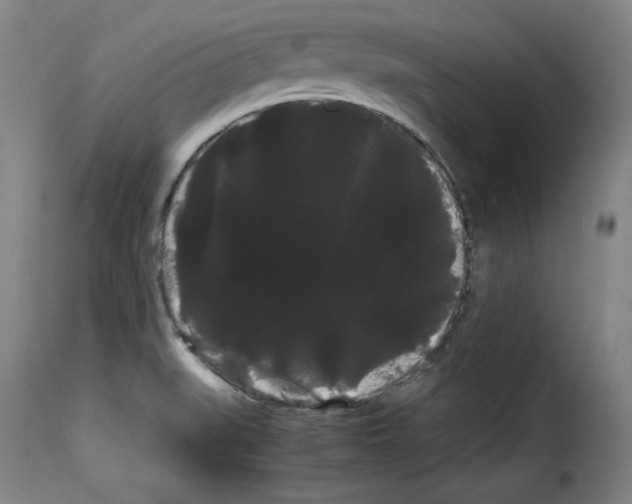 X0000114191519200911200924