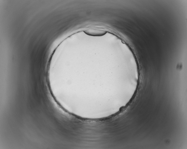 X0000114191520200911200924