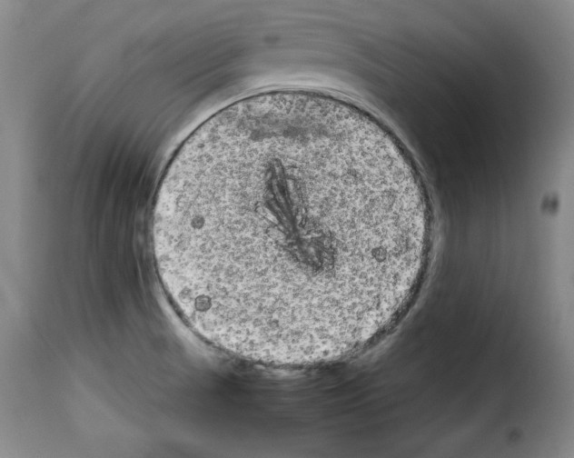 X0000114191521200911200924