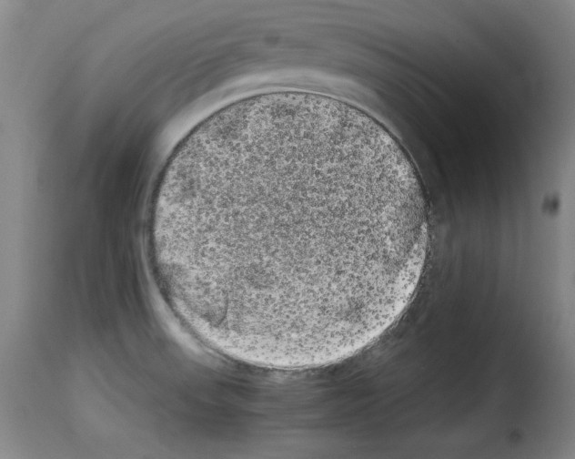 X0000114191523200911200924