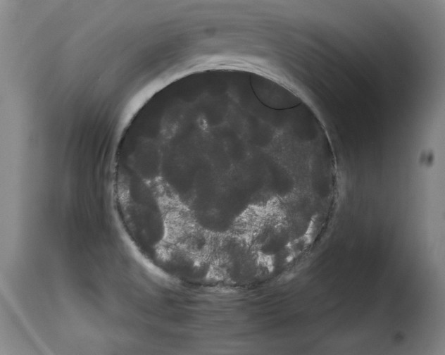 X0000114191525200911200924