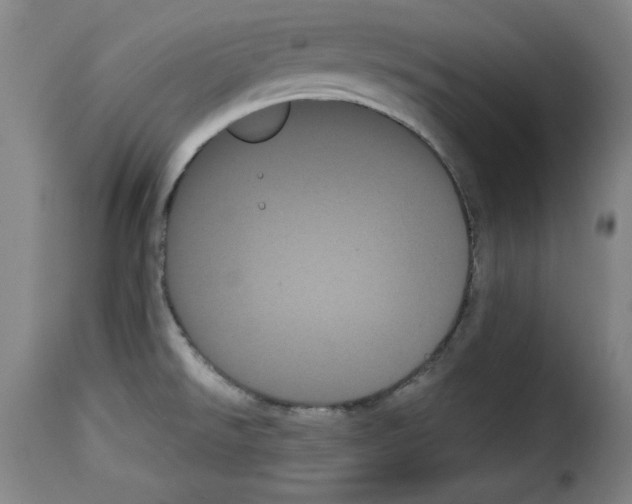 X0000114191526200911200924