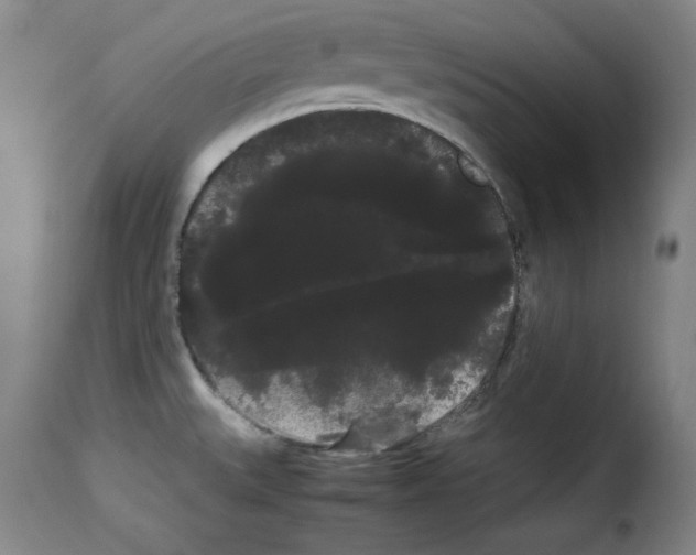 X0000114191527200911200924