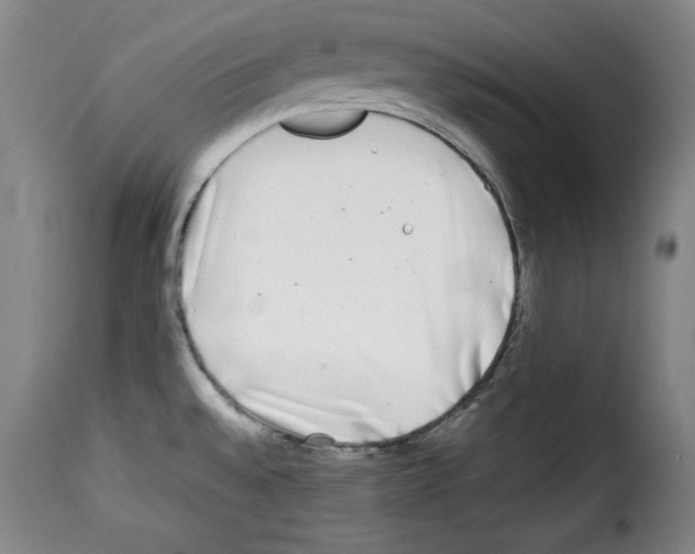 X0000114191528200911200924