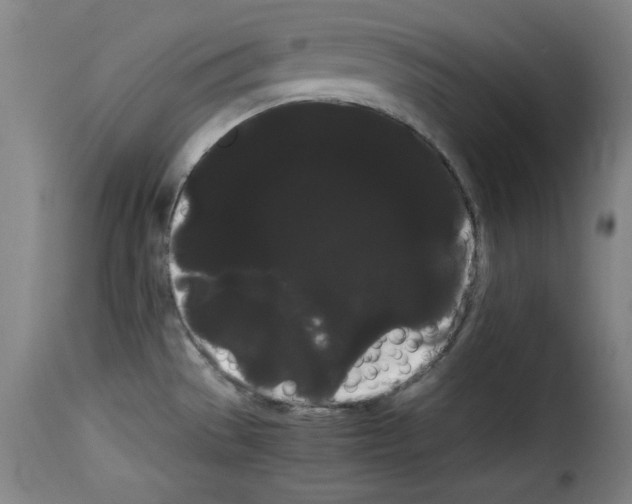 X0000114191529200911200924