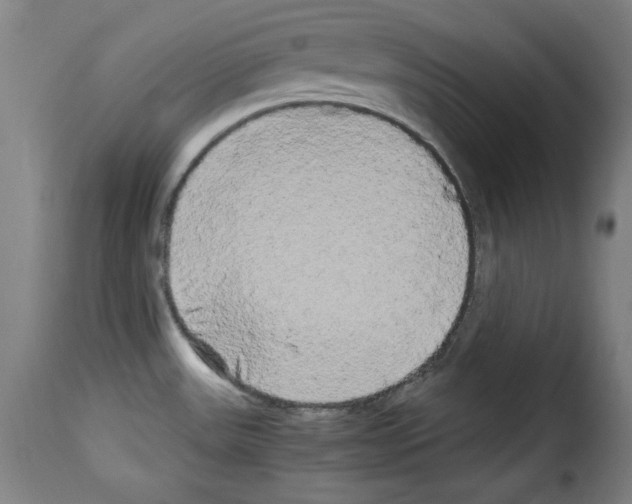 X0000114191531200911200924