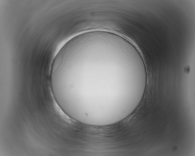 X0000114191532200911200924