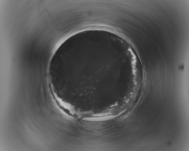 X0000114191533200911200924