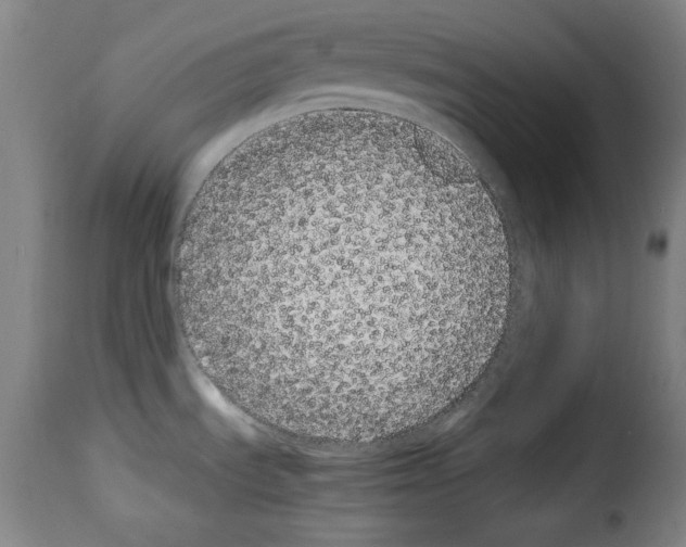 X0000114191535200911200924