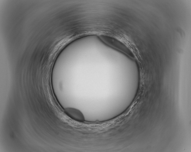 X0000114200001200910091058