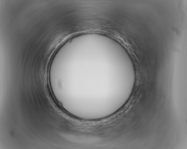 X0000114200002200910091058