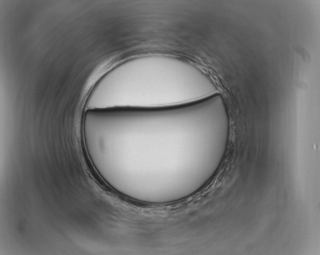 X0000114200004200910091058