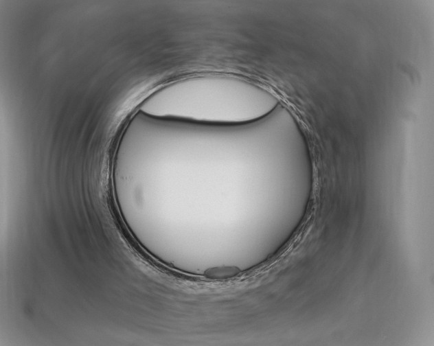 X0000114200005200910091058