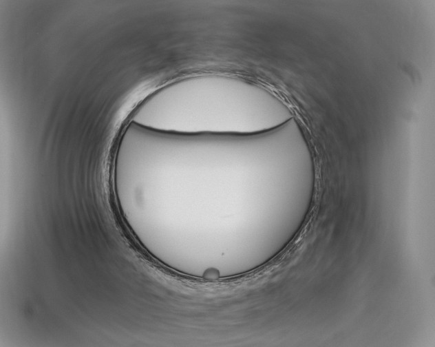 X0000114200006200910091058