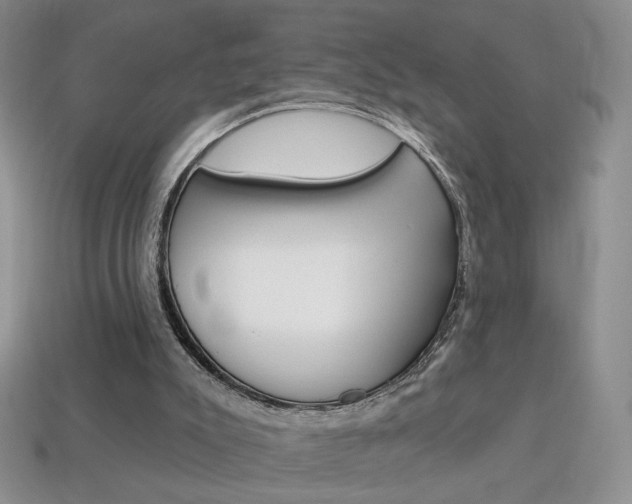 X0000114200007200910091058