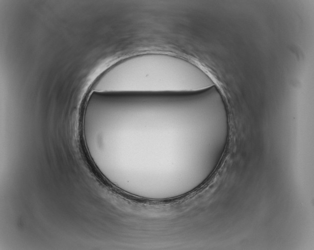 X0000114200008200910091058
