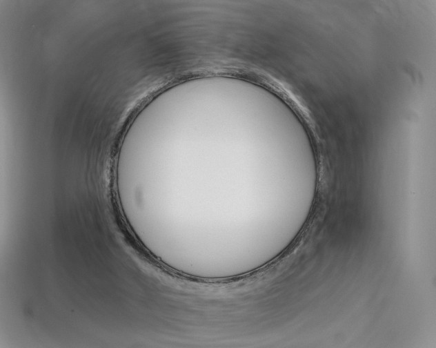 X0000114200010200910091058