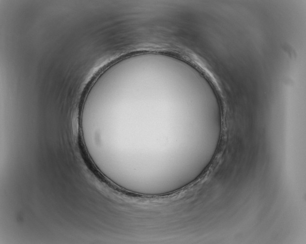 X0000114200011200910091058