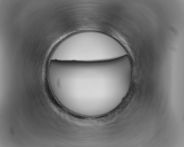 X0000114200012200910091058