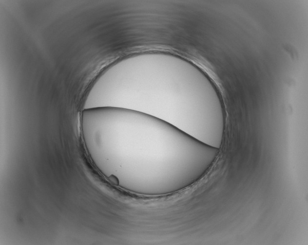 X0000114200013200910091058