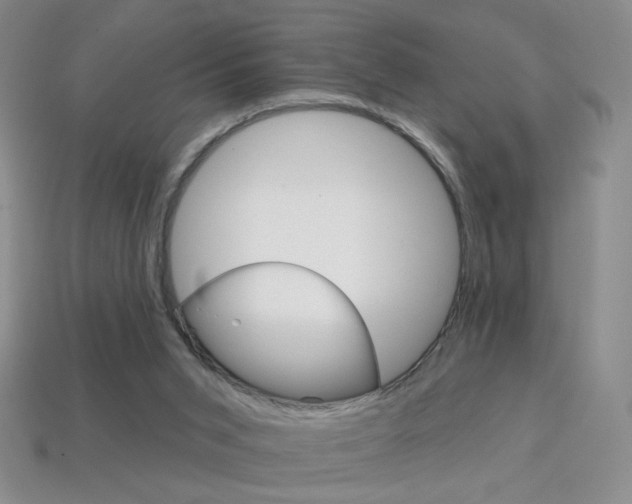 X0000114200015200910091058
