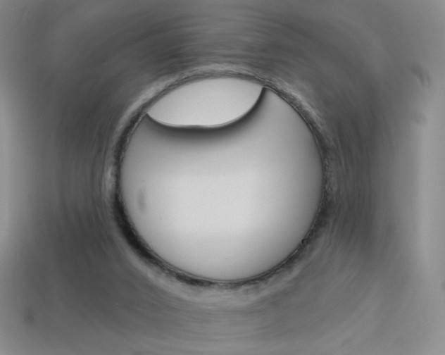 X0000114200016200910091058