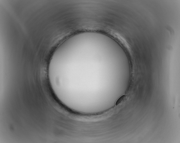 X0000114200017200910091058