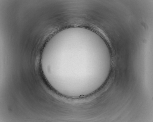 X0000114200018200910091058