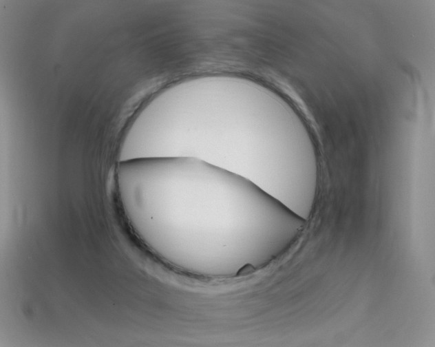 X0000114200019200910091058