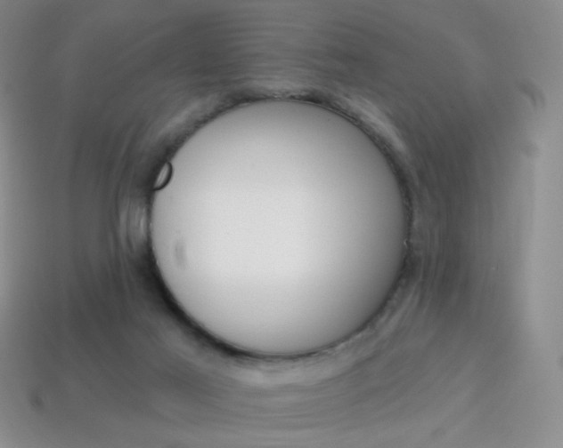 X0000114200021200910091058