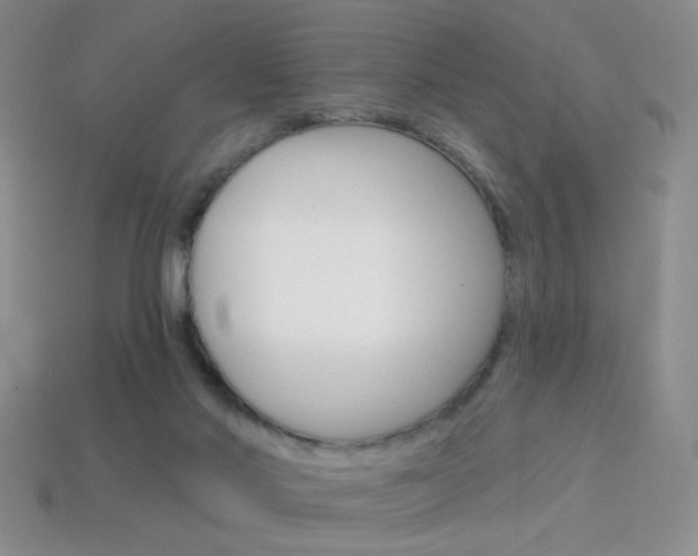 X0000114200022200910091058