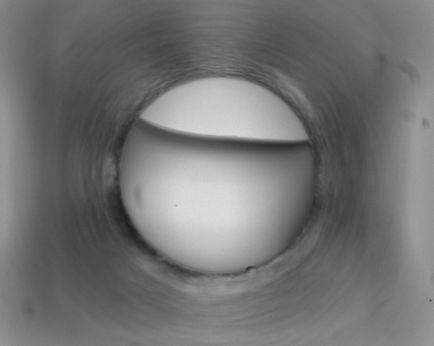 X0000114200025200910091058