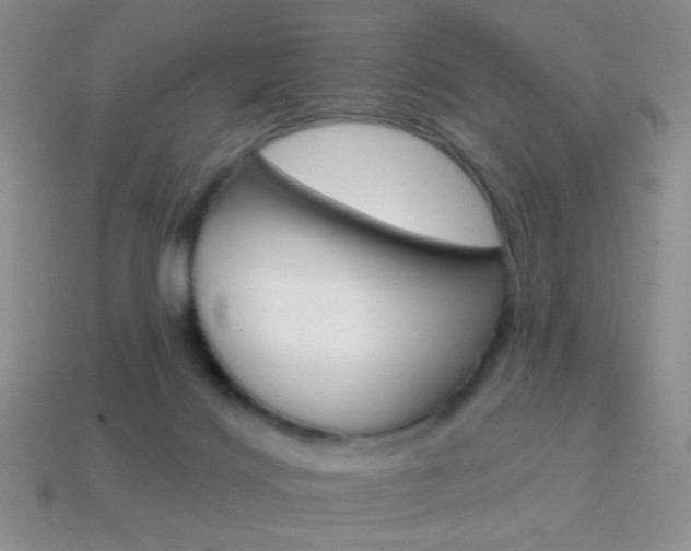 X0000114200028200910091058