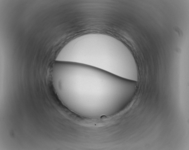 X0000114200029200910091058