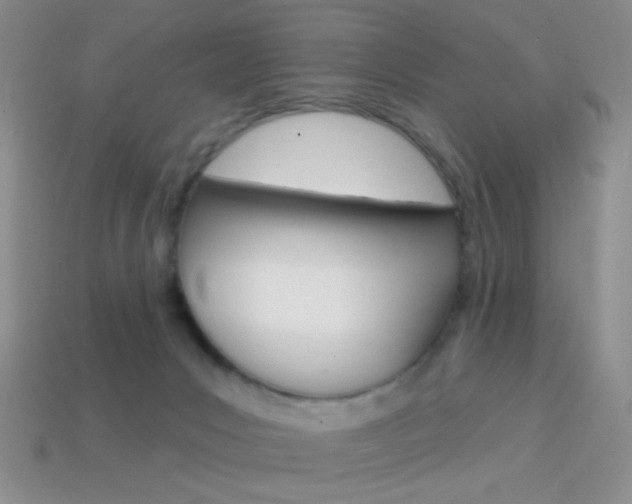 X0000114200031200910091058
