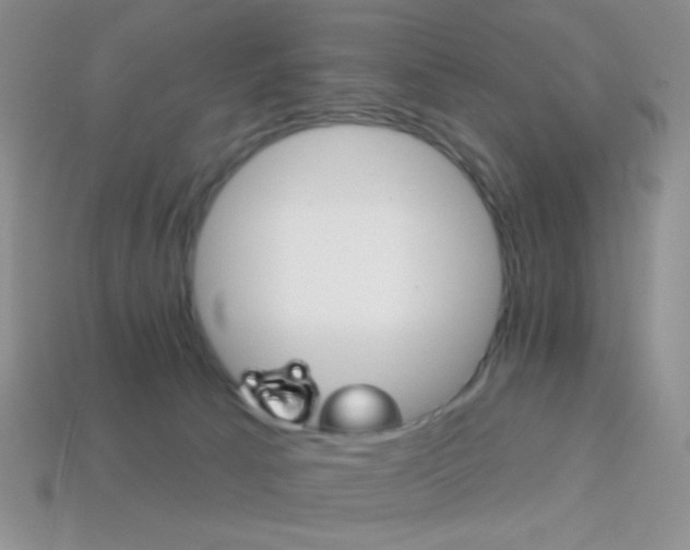 X0000114200033200910091058