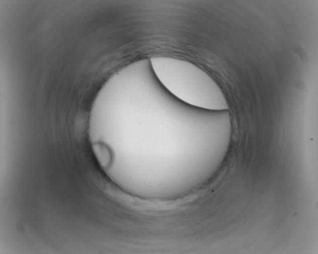 X0000114200034200910091058