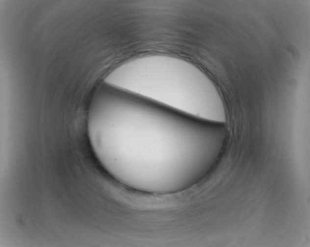 X0000114200036200910091057