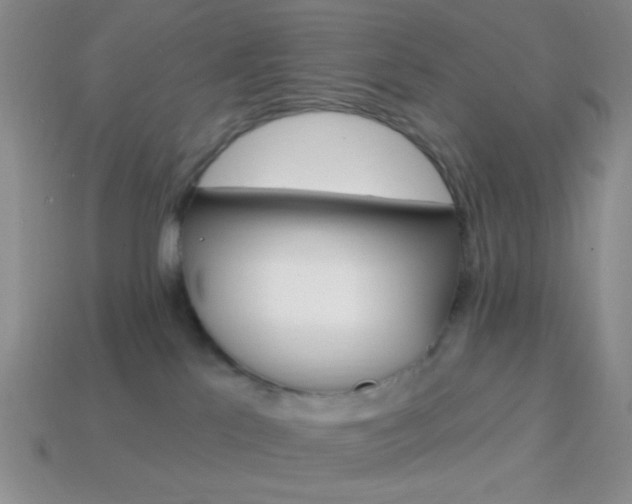 X0000114200041200910091057