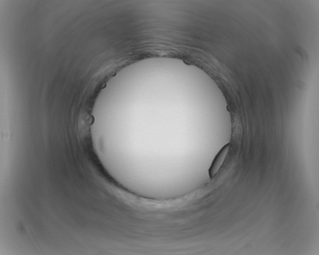 X0000114200043200910091057