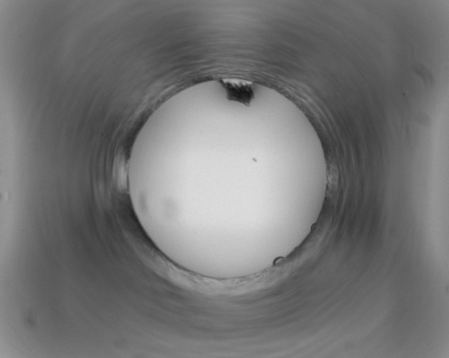 X0000114200046200910091057