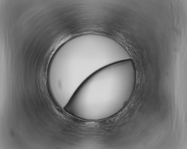 X0000114200050200910091057
