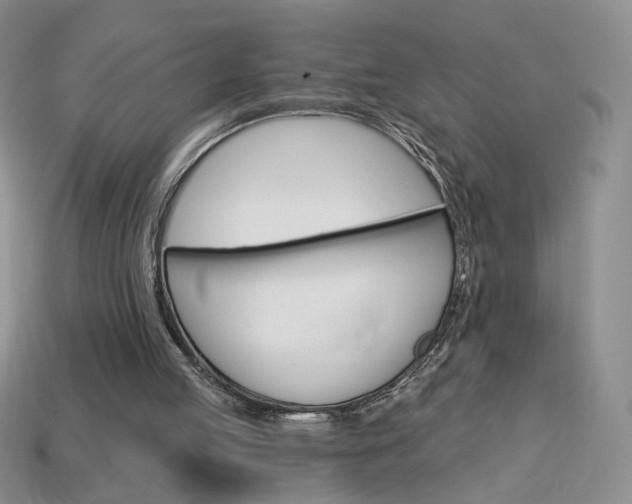 X0000114200053200910091057