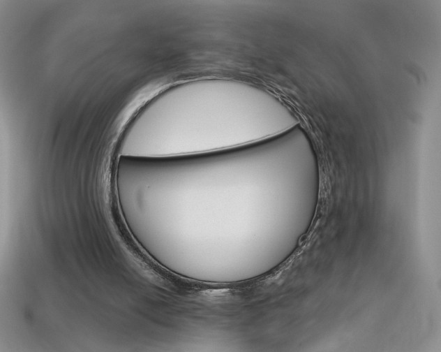 X0000114200054200910091057
