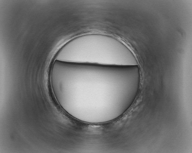 X0000114200055200910091057