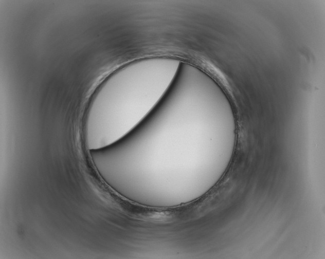 X0000114200059200910091057