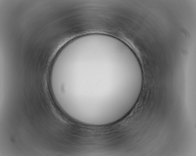 X0000114200060200910091057