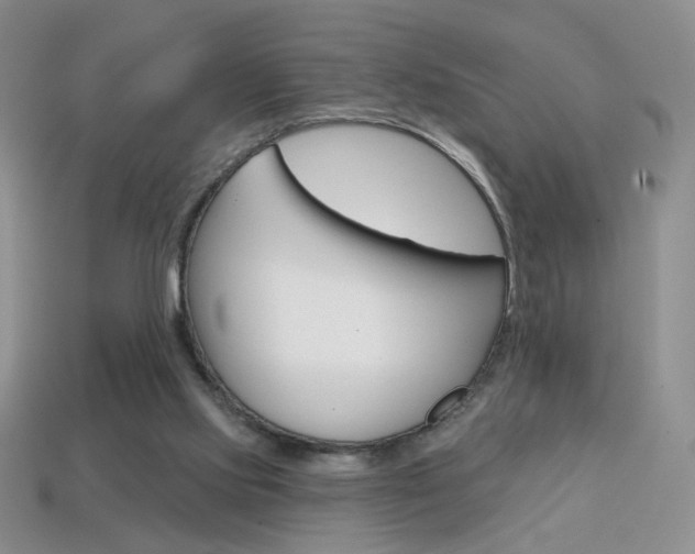 X0000114200061200910091057