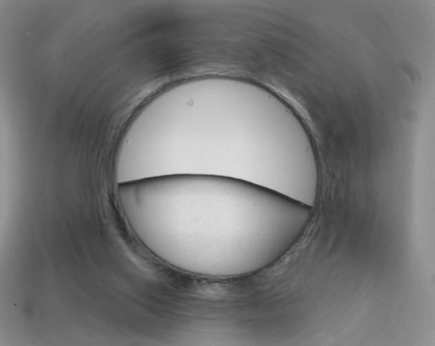 X0000114200062200910091057